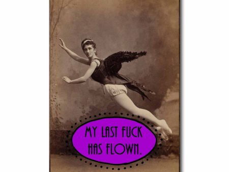 Last Fuck Has FLown NSFW Postcard Cheap