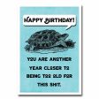 Too Old Birthday Card Greeting Card NSFW Cheap