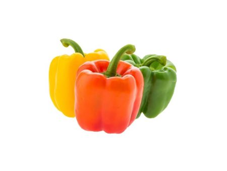 绿 红 黄 椒 Green Red Yellow Pepper (1pc) For Cheap