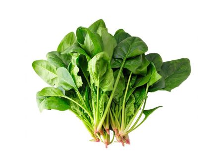 菠菜 Chinese Spinach (200g) Cheap