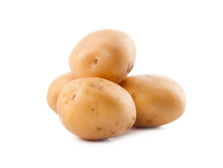 荷兰马铃薯Potato Holland (850g-1kg) For Discount