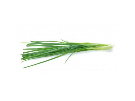 葱 Spring Onion (200g) For Cheap