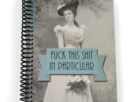 Fuck This Shit in Particular 5x7 NSFW Notebook For Discount