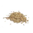 Cumin Seed (1 pkt) Sale