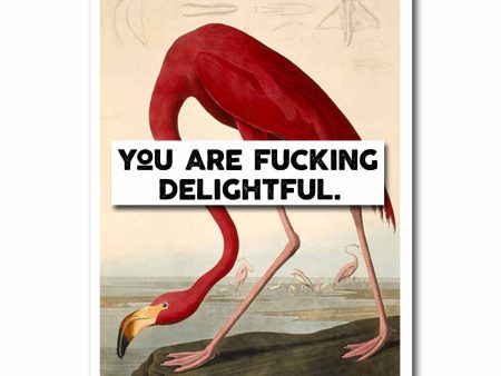 You Are Fucking Delightful Blank Greeting Card NSFW Supply