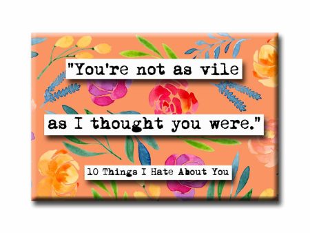 10 Things I Hate About You Vile Quote Refrigerator Magnet Online Hot Sale