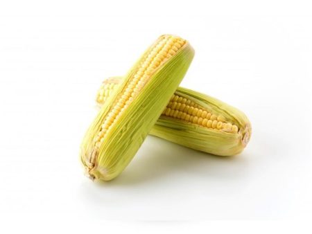 玉米 Corn (2 per packet) Supply