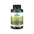 Chasteberry Fruit - 400 mg 120 capsules Sale