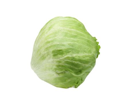 生菜 Lettuce (850g-1kg) Hot on Sale