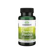 Chanca Piedra - 500 mg 60 vege capsules Online Hot Sale