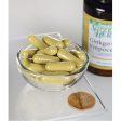 Ginkgo with Vinpocetine - 60 capsules Hot on Sale