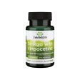 Ginkgo with Vinpocetine - 60 capsules Hot on Sale