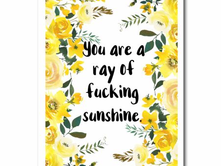 Ray of Fucking Sunshine Blank Greeting Card NSFW Discount