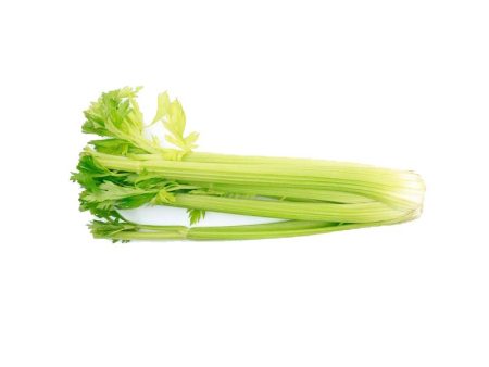 芹菜 Celery  (1pkt) Discount