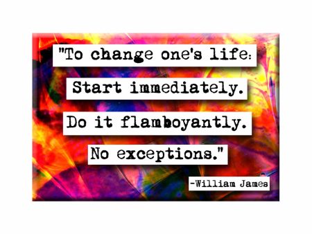 William James Quote Magnet (no.198) Online now