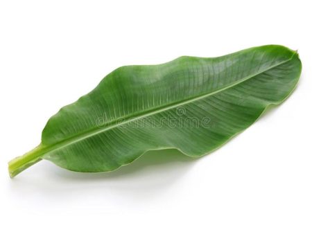 香蕉叶 Banana Leaf (100g) Online