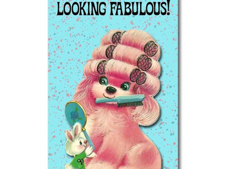 Looking Fabulous Postcard Fashion