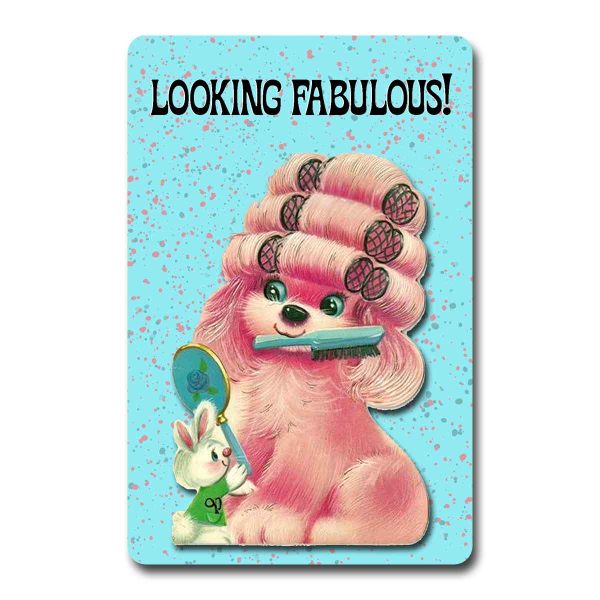 Looking Fabulous Postcard Fashion