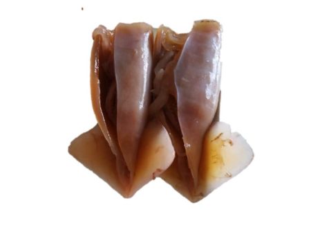 Cuttlefish (2pcs, ~1kg) Online Hot Sale