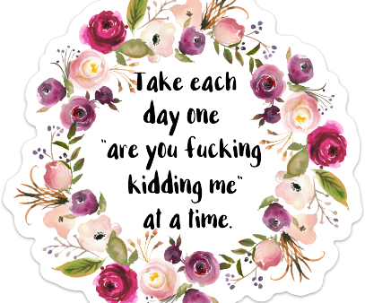 Take Each Day One Are You Fucking Kidding Me Vinyl Sticker NSFW Hot on Sale