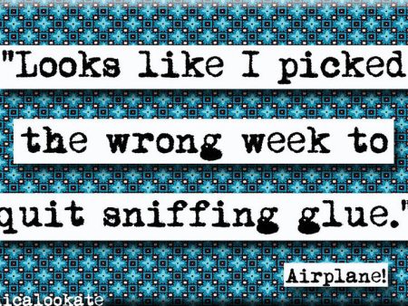 Airplane Picked the Wrong Week Quote Refrigerator Magnet Online now