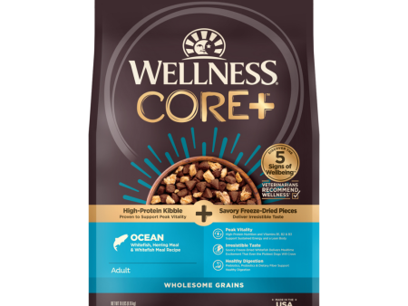 Wellness CORE RawRev Wholesome Grains Ocean Recipe Dry Dog Food on Sale