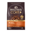 Wellness CORE RawRev Wholesome Grains Original Recipe Dry Dog Food Fashion