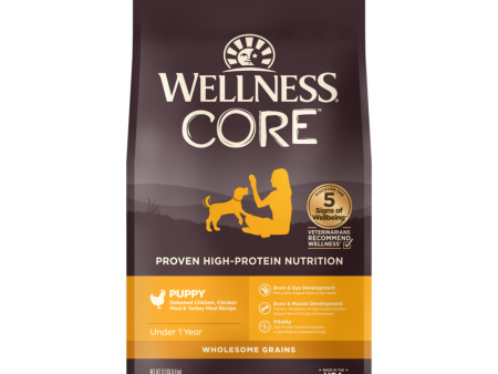 Wellness CORE High Protein Wholesome Grains Puppy Recipe Dry Dog Food Online Sale